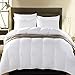 Emolli All Season Queen Comforter Summer Soft Quilted Duvet Queen, Duvet Insert Queen, Machine Washable, Stand-Alone Comforter(Queen-88x88inch)