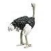 Schleich Ostrich Figurine Toy Figure