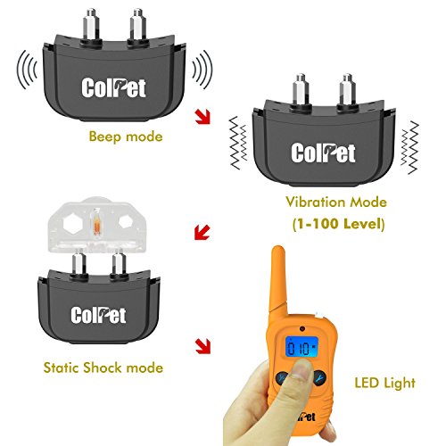 colpet shock collar