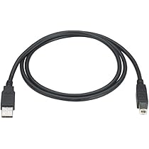 Amazon.com: Black Box Corporation USB 2.0 Cable Type A Male