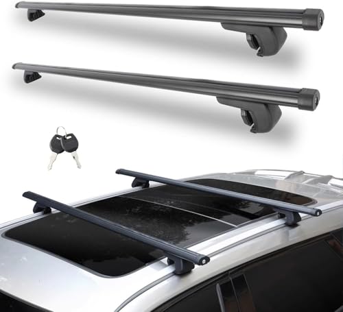 GOGOBAO Car Roof Rack Cross Bars 135cm, Universal Adjustable Aluminum Roof Rails with 220lbs Load Capacity, Fits Most Vehicles with Existing Raised Side Rails with Gap (Fit With Raised Rails Car)