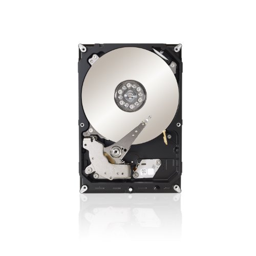 Seagate 4 TB Terascale HDD SATA 6Gb/s 64MB Cache 3.5-Inch Internal Bare Drive (ST4000NC001)