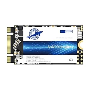 Dogfish SSD M.2 2242 120GB Ngff Inside High Performance Solid State Hard Disk Drive Actuator Includes One 240GB 250GB…