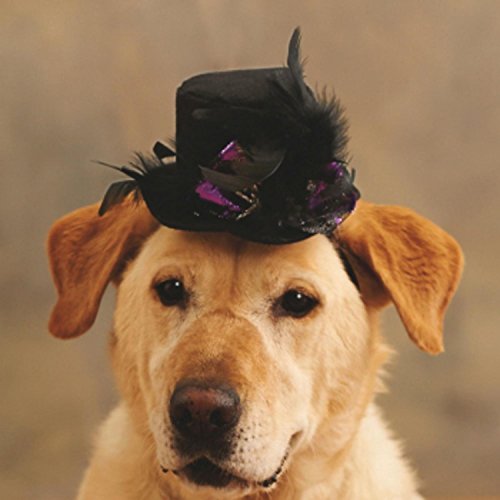 3" Black, Silver and Metallic Spider Accented Top Hat Pet Animal Halloween Costume
