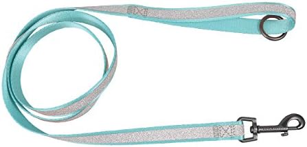 Glitter Stripe Dog Collars and Matching Leashes