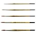 ZEM Brush Golden Synthetic Rounds Brushes Set Sizes 2,4,6,8,10