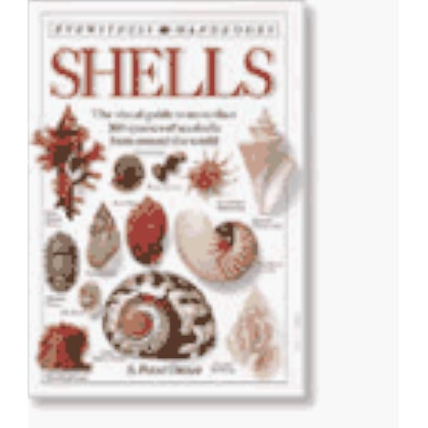 The Encyclopedia of Shells: Kenneth R. Wye: 9781861609526: Amazon