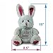 Plush Easter Basket For Baby - Toddler & Kids Of All Ages. Set Includes Plush Easter Bunny, Plush Easter Egg, Plush Easter Chick, Easter Basket
