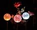 Solaration Crackle Glass Globe Solar Lawn Light, 3.5