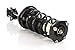 Prime Choice Auto Parts CST100132PR Rear Strut Assembly Pair