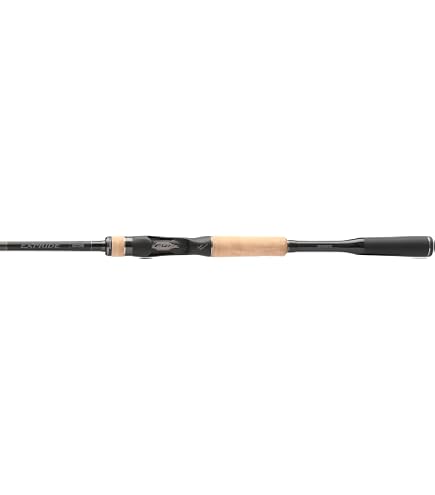 Amazon.com : SHIMANO Zodias 1610M-2 Fast Action Casting Fishing