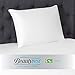 Beautyrest Latex Foam Pillow (Standard 2 Pack)