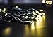 KingDom-LL 50 LED Bulbs Christmas Lights Plug in - AIDDOMM, LED Bulbs String Lights for Outdoor and Indoor, Party, Patio, Warm White, Green Wire, 25 Feet, UL Listed