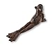 Cast Iron Yoga Frog Door Wedge