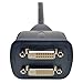 Tripp Lite DVI Y Splitter Cable, Digital Monitors (DVI-D M to 2x F), 1-ft. (P564-001)