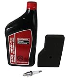 Honda 08207-10W30 KIT
