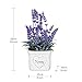 YAPA Potted Lavender Flowers -Small Artificial Plants - Fake Purple Flower with White Ceramic Vase for Home, Party & Wedding Décor