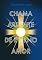 Livro CHAMA ARDENTE DE ETERNO AMOR