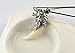 Doinshop New Man Wolf Tooth Necklace Titanium Steel Domineering Pendant Jewelry