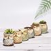 Succulent Planter, Cute Ceramic Owl Planters with Drainage, 2.5 Inch Small Flower Pot, Set of 6 Pots for Plants