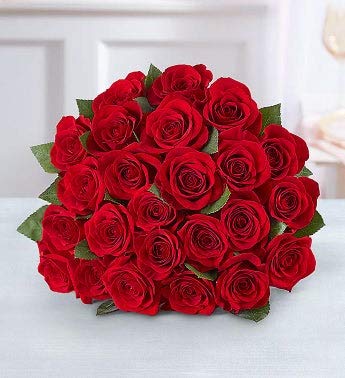 1800Flowers Two Dozen Red Roses Flower Bouquet (24 Flowers)