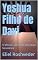 Livro Yeshua Filho de Davi: O Messias pela visão da Cabala Messiânica (Cabala e Misticismo Livro 19)