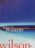 Brian Wilson - Imagination