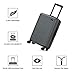 GoPenguin 20 Inch Hardside Carry On Luggage with Spinner Wheels, Travel Lightweight PC Hardshell Suitcase with TSA Lock Gray