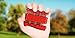 Tracefit Finger Strengthener Hand Finger Grip Exerciser Perfect for Guitar, Piano and Climbing Exercises, Grip Strength Trainer