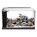 Fluval 10528A1 Evo V Marine Aquarium Kit, 5 galthumb 1
