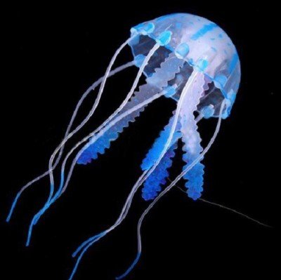 Royal Pet Aquarium Decoration Silicon Jellyfish Toy Glowing Effect Diameter 3 5 Cm Amazon In Pet Supplies