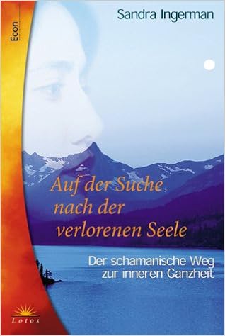 Auf Der Suche Nach Der Verlorenen Seele Amazon De Ingerman Sandra Bucher