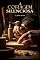Livro A Coragem Silenciosa (Homens Virtuosos Livro 1)