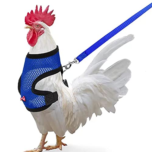 Arbootjin Chicken Harness