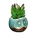 3“ Turquoise & Brown Small Owl Design Ceramic Succulent Planter / Flower Bud Pot / Mini Decorative Vase