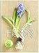 Food & flowers. Ediz. italiana