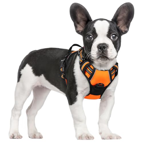 rabbitgoo Dog Harness No Pull with 2 Leash Clips, Adjustable Soft Padded, Refle…