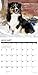 Just Australian Shepherds 2019 Wall Calendar (Dog Breed Calendar)