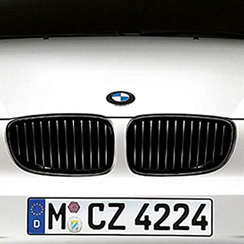 BMW 51710441921 M Performance Gloss Black Kidney Grille for E82/E88 1 Series