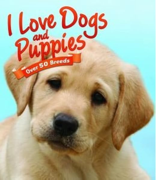 puppies n love prices