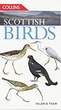 Scottish Birds by 