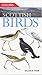 Scottish Birds by 