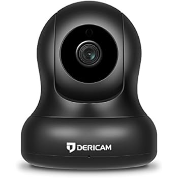 Amazon.com : YI Dome Camera Pan/Tilt/Zoom Wireless IP