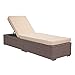Patiorama Patio Chaise Lounge Chair, Sun Lounger, Outdoor Pool Beach Brown PE Rattan Wicker Reclining Chair W/Adjustable Backrest, Weather Cover, and Removable Cushion (Beige)