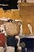 Richard Diebenkorn: Revised and Expanded