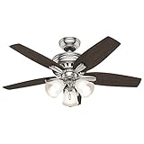 Hunter 51085 Newsome Ceiling Fan with