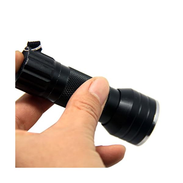 SAMS-Fishing-21-LEDs-Super-Bright-Light-UV-Glue-Cure-Flashlight-and-Syringe-Coating-Tools-For-Fly-Tying-UV-Kits-Buzzer-Bug-Nymph-Head-Body-Trout-Flies-Making