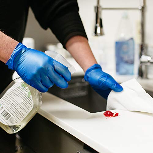 5 AMMEX+Blue+Vinyl+Disposable+Gloves