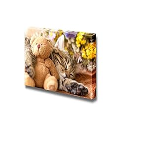 Kitten Kitty and Teddy Bear Cute Little Cat...