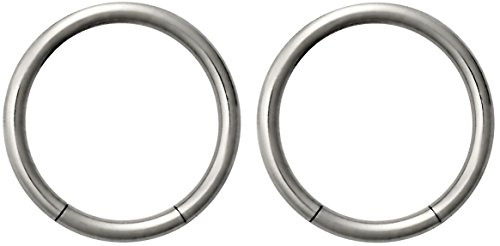 Pair of 2 rings: 16g 3/8 inch surgical steel segment hoop ring ci…